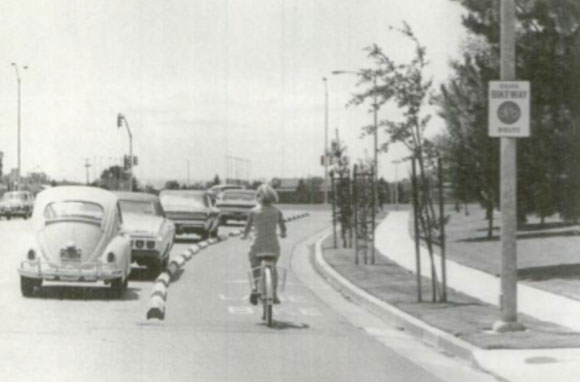 Sycamore Lane in Davis, CA circa 1967.